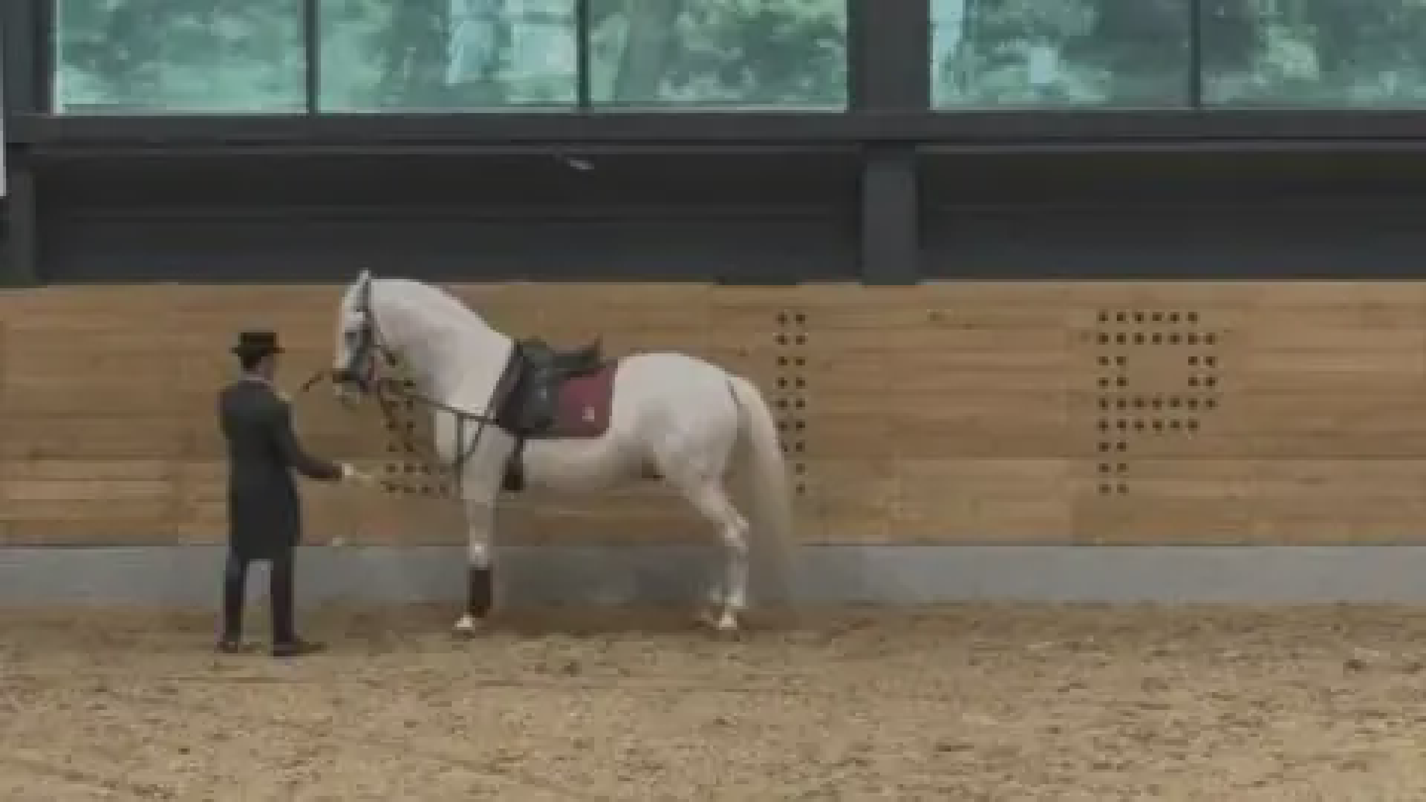 Despite the stunning stables and show hall, the heavily restrained horse was not what I had hoped to see
