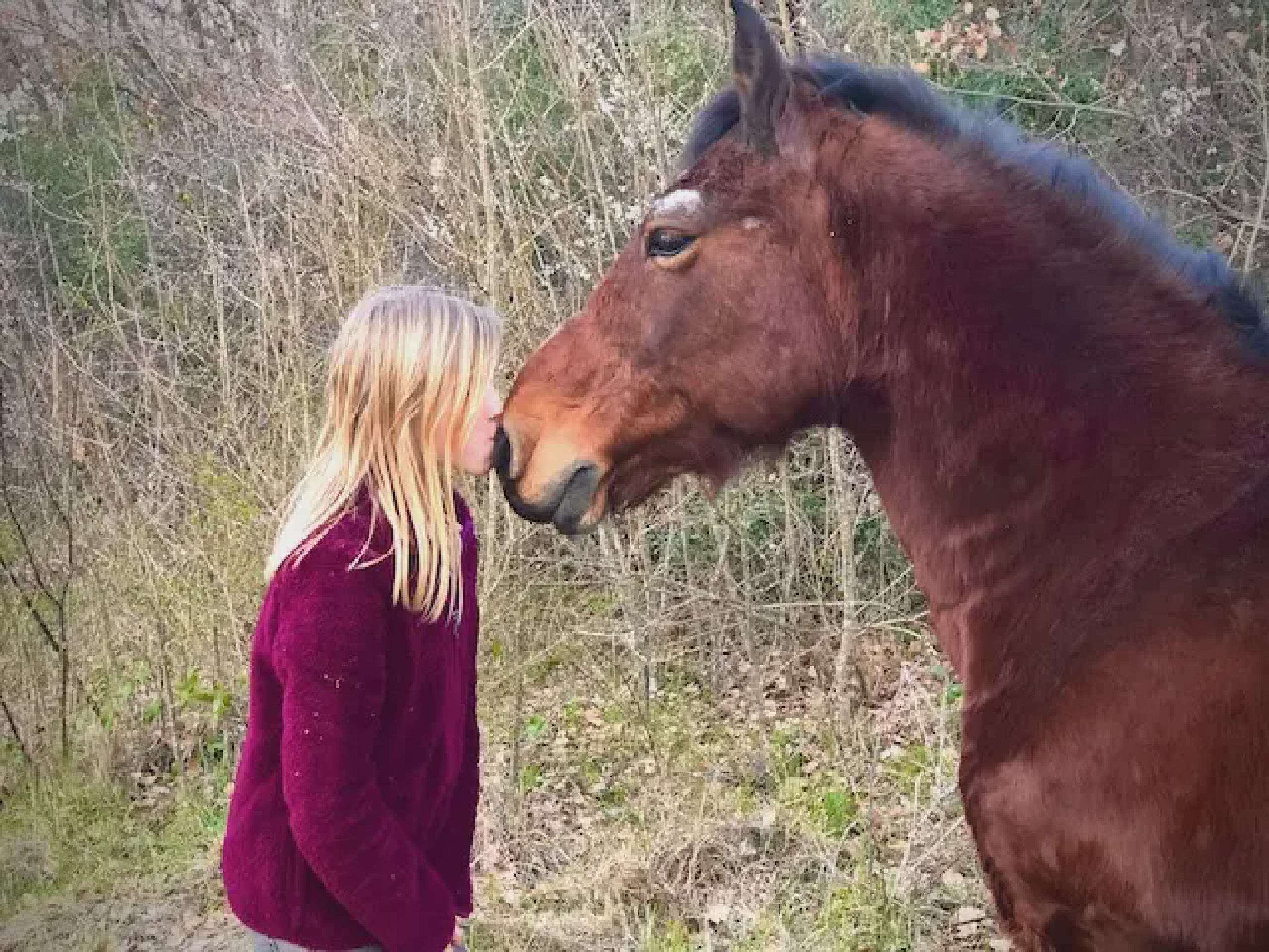 Boaz, our retired gentle giant — from walking companion to trusted riding horse