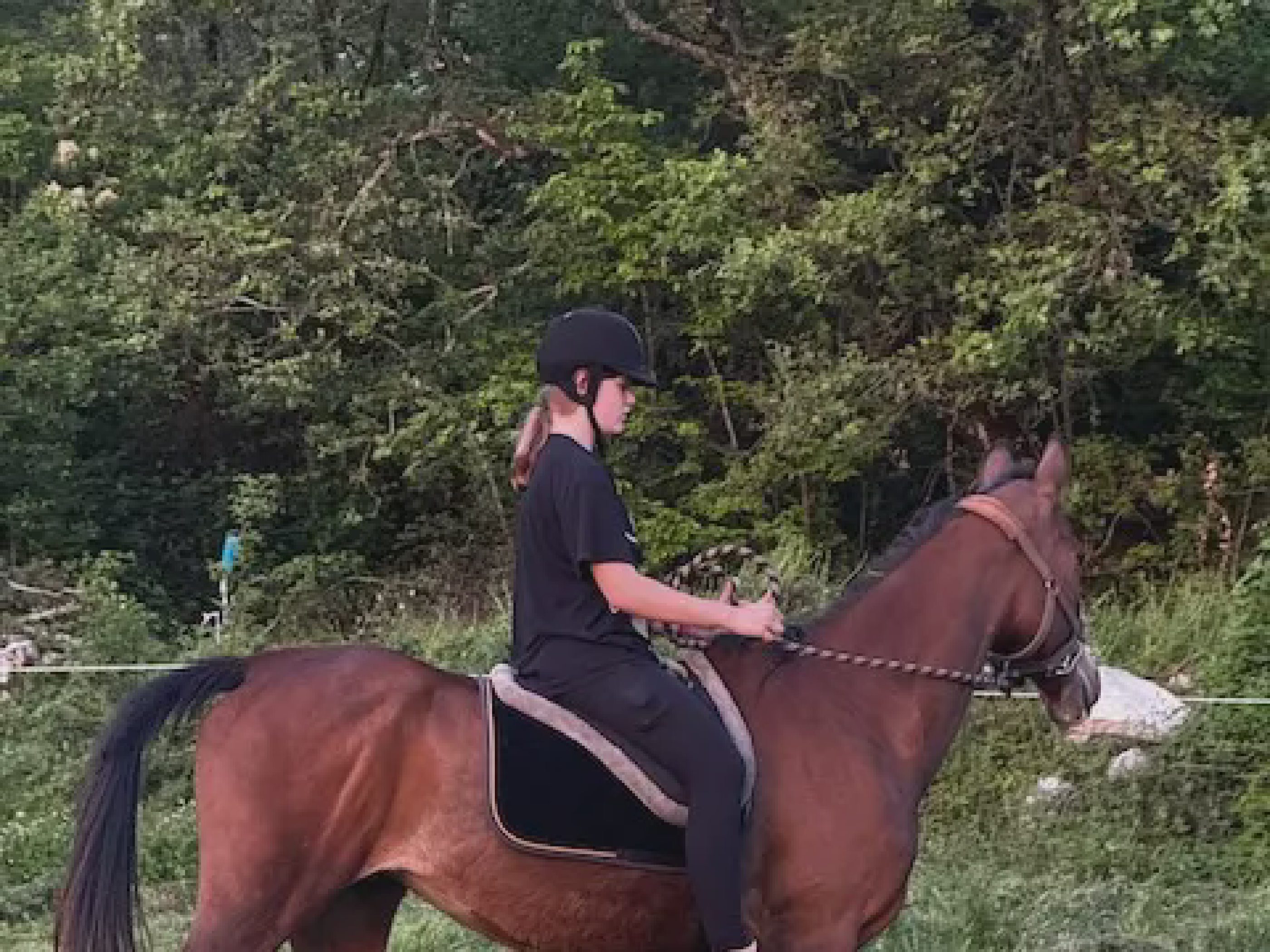 Indigo, our elegant mare who blossomed into a trusted riding partner after a year of healing