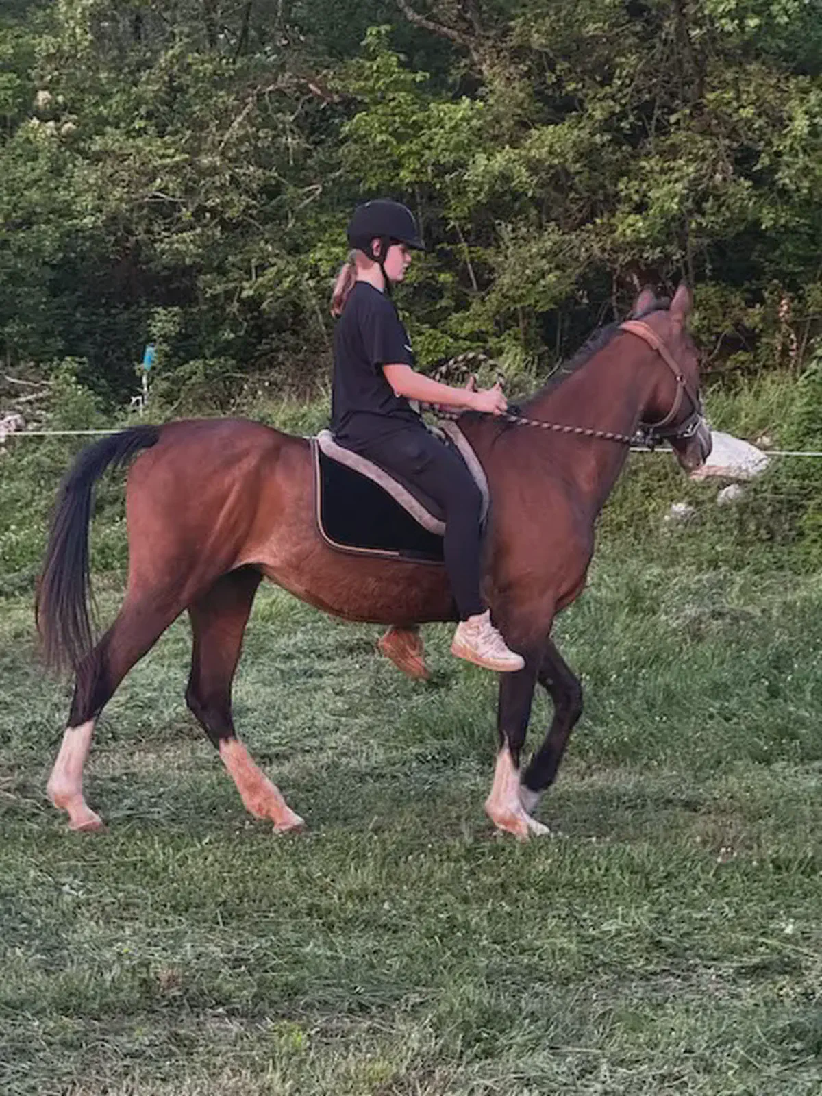 Indigo, our elegant mare who blossomed into a trusted riding partner after a year of healing