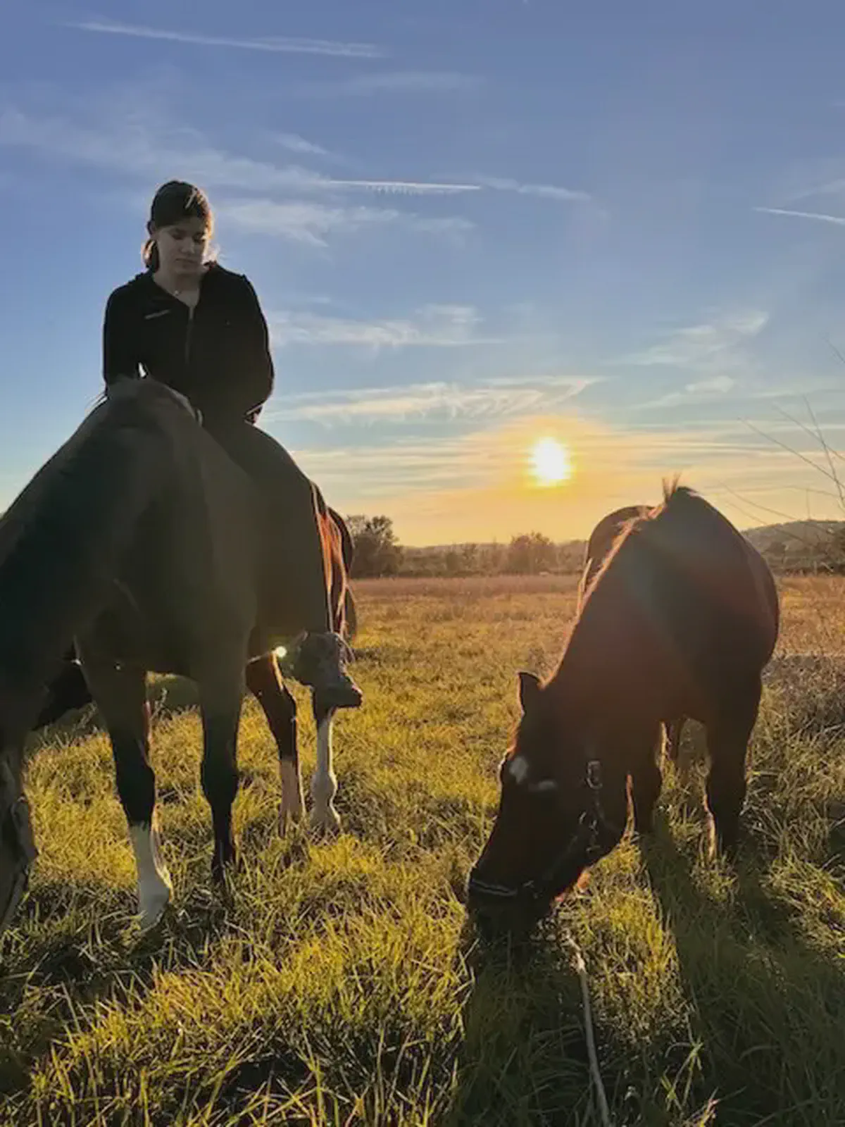 Peaceful grazing moments with our horses, who love the calm presence of their caretakers