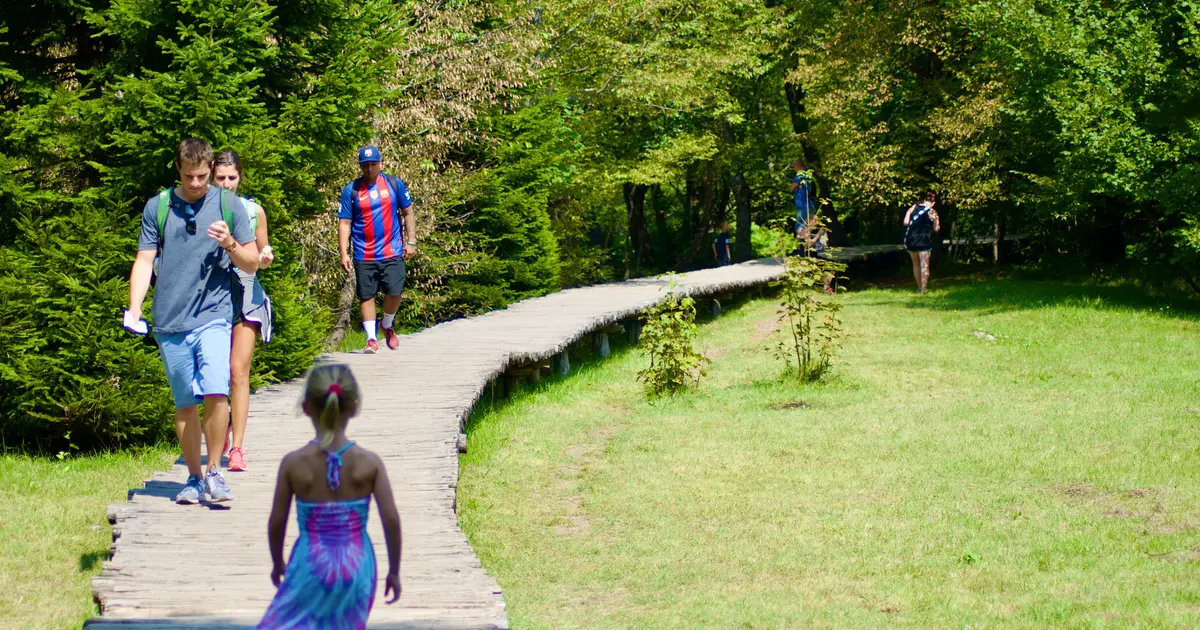 Walking bridges Walking bridges