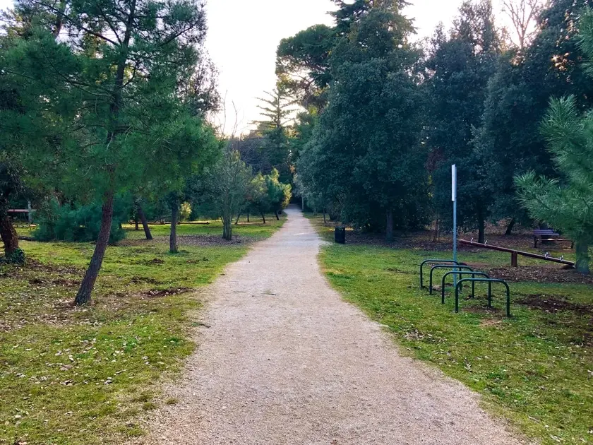 Walking Forest with a lot of beaches Walking Forest with a lot of beaches