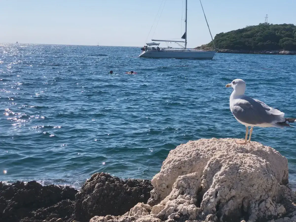 Superyacht anchored near Hvar