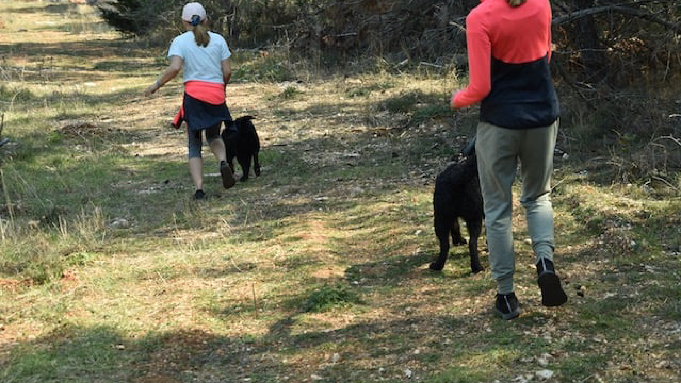 Sunday Walk