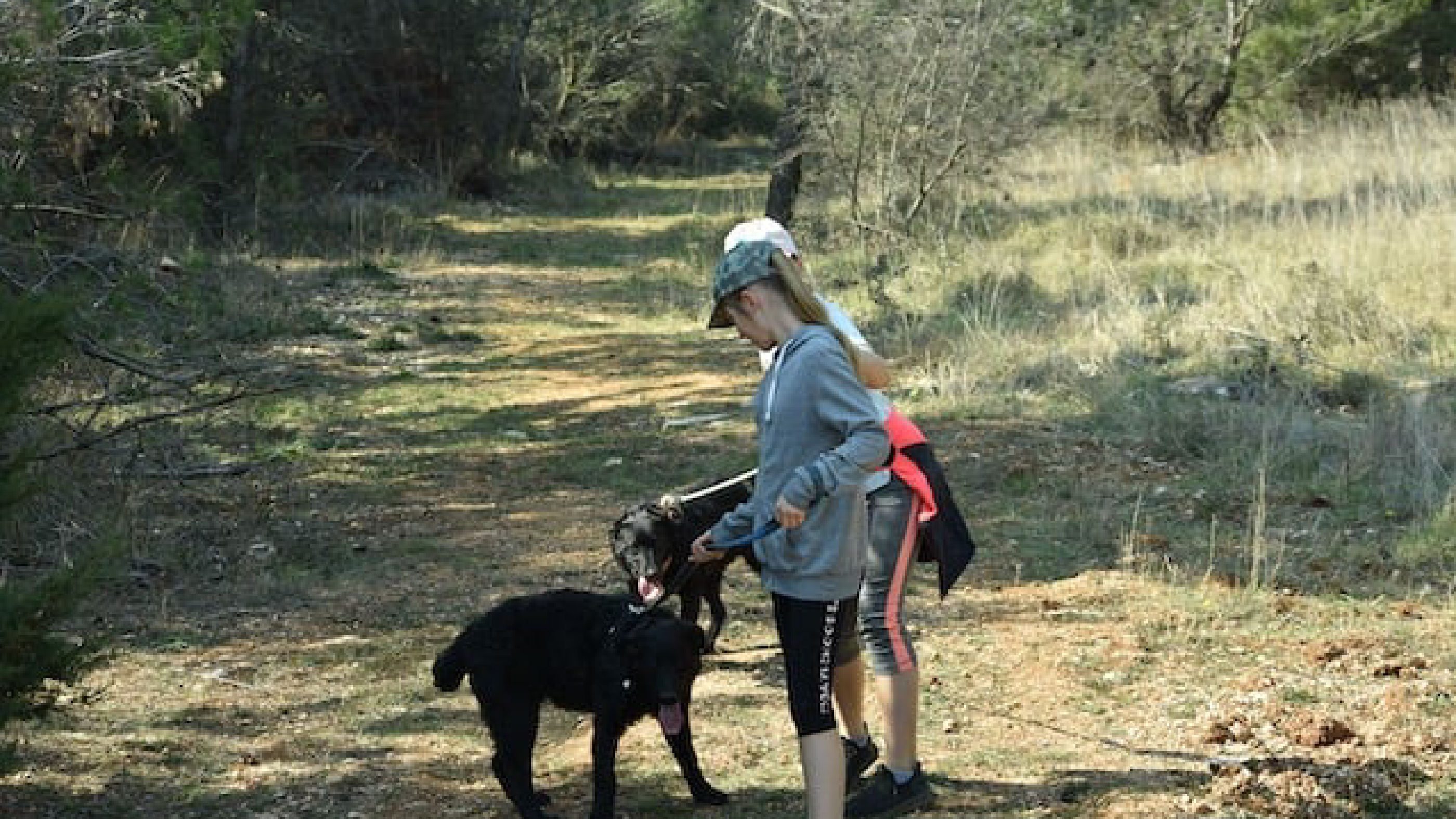 Walking Time