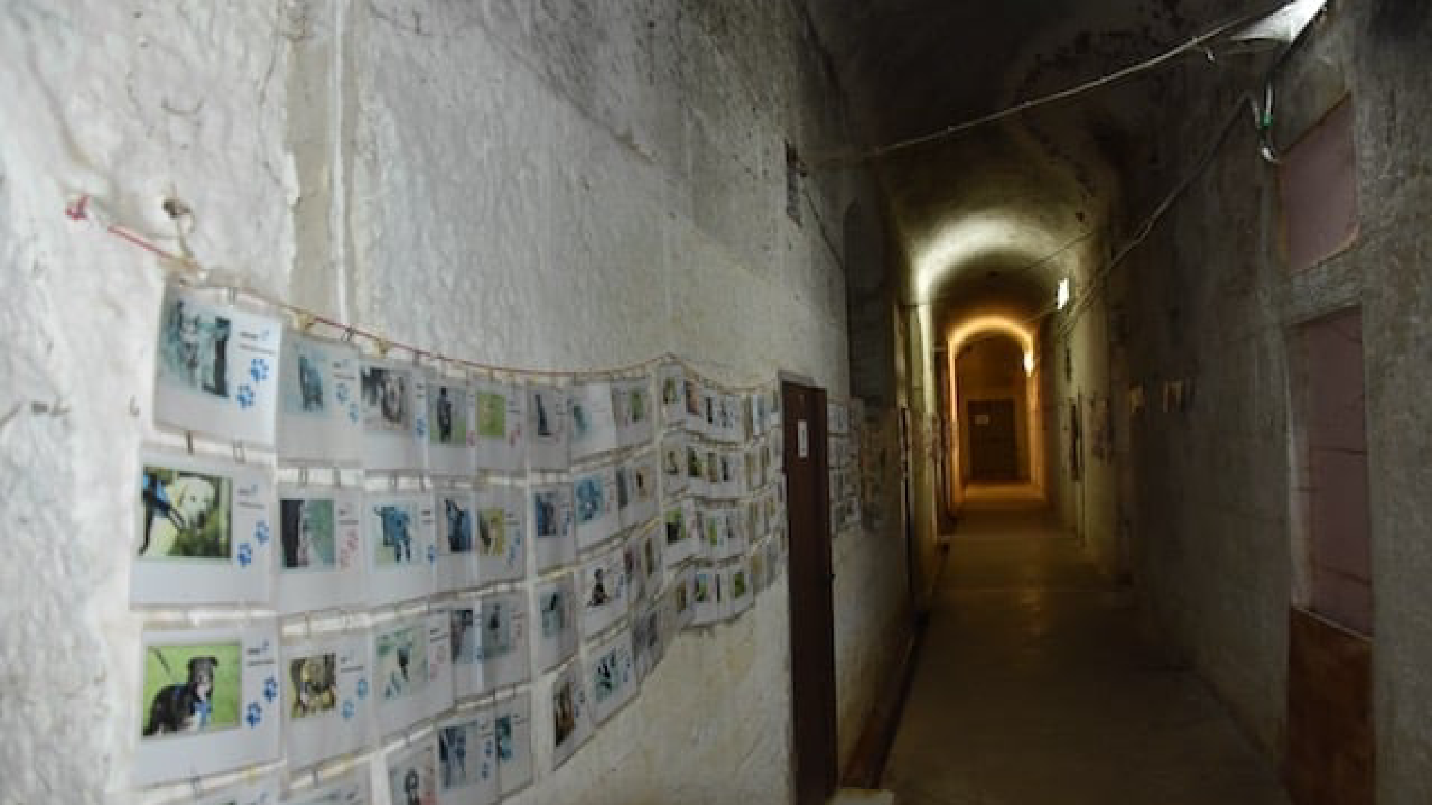 Wall of Fame