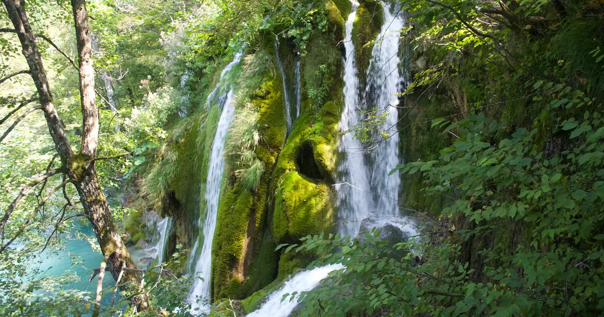 Plevice Jezera