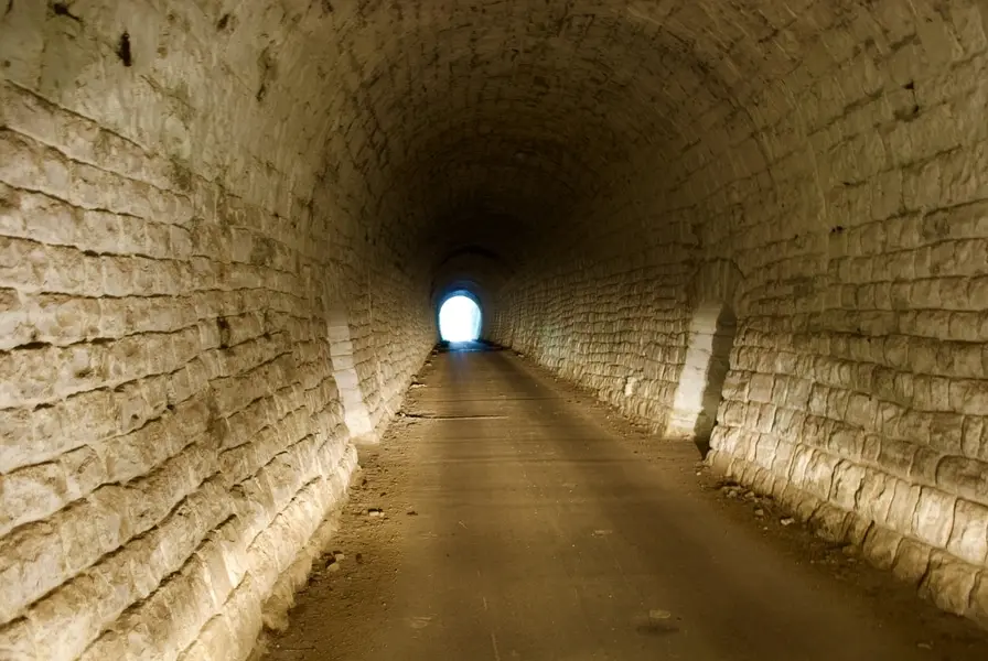 News
{ data-aos="fade-up" }