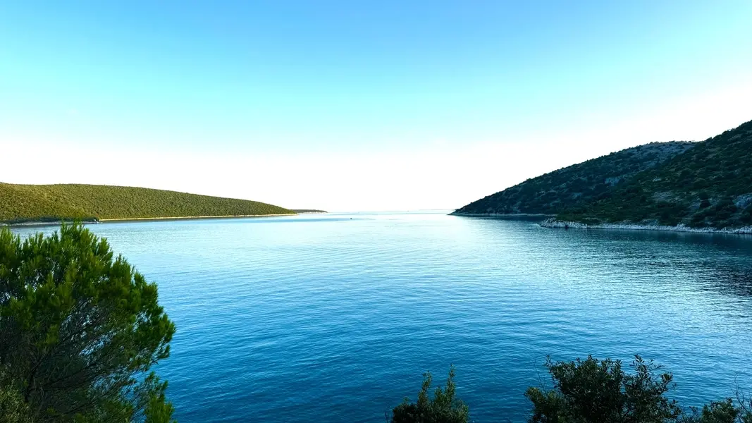 Portfolio
{ data-aos="fade-up" }
