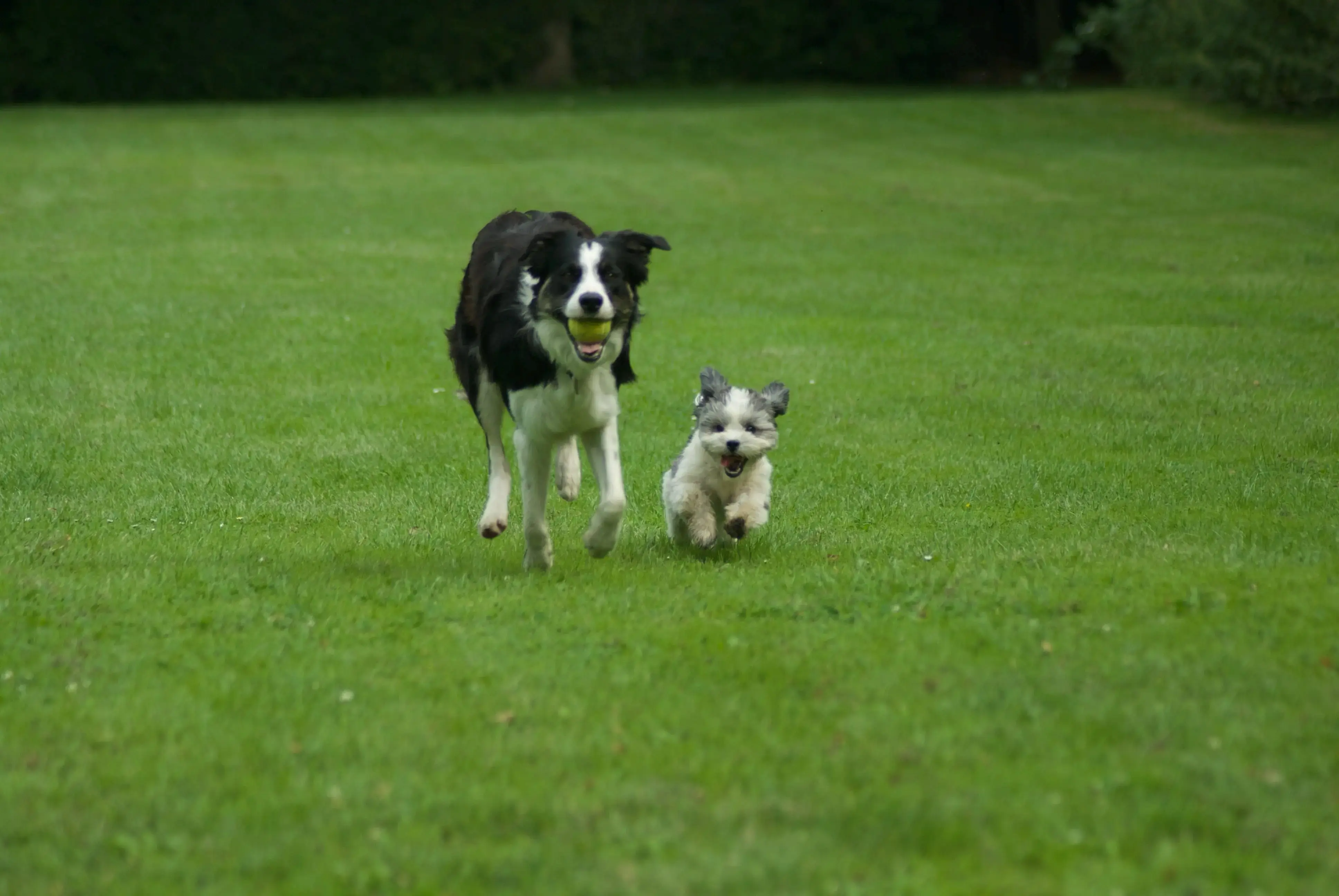 Kroatisch bergpanorama