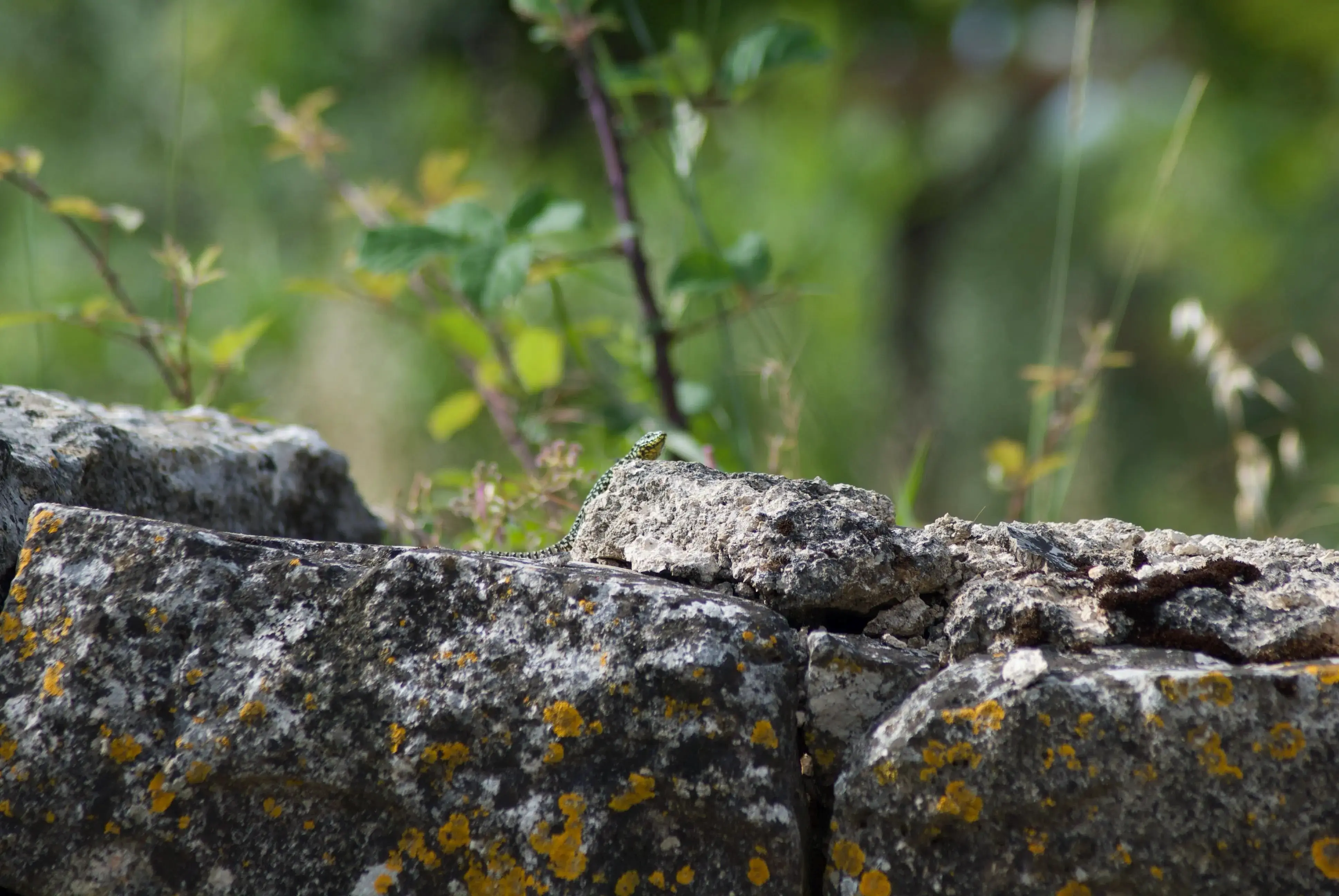 Binnenland van Kroatië