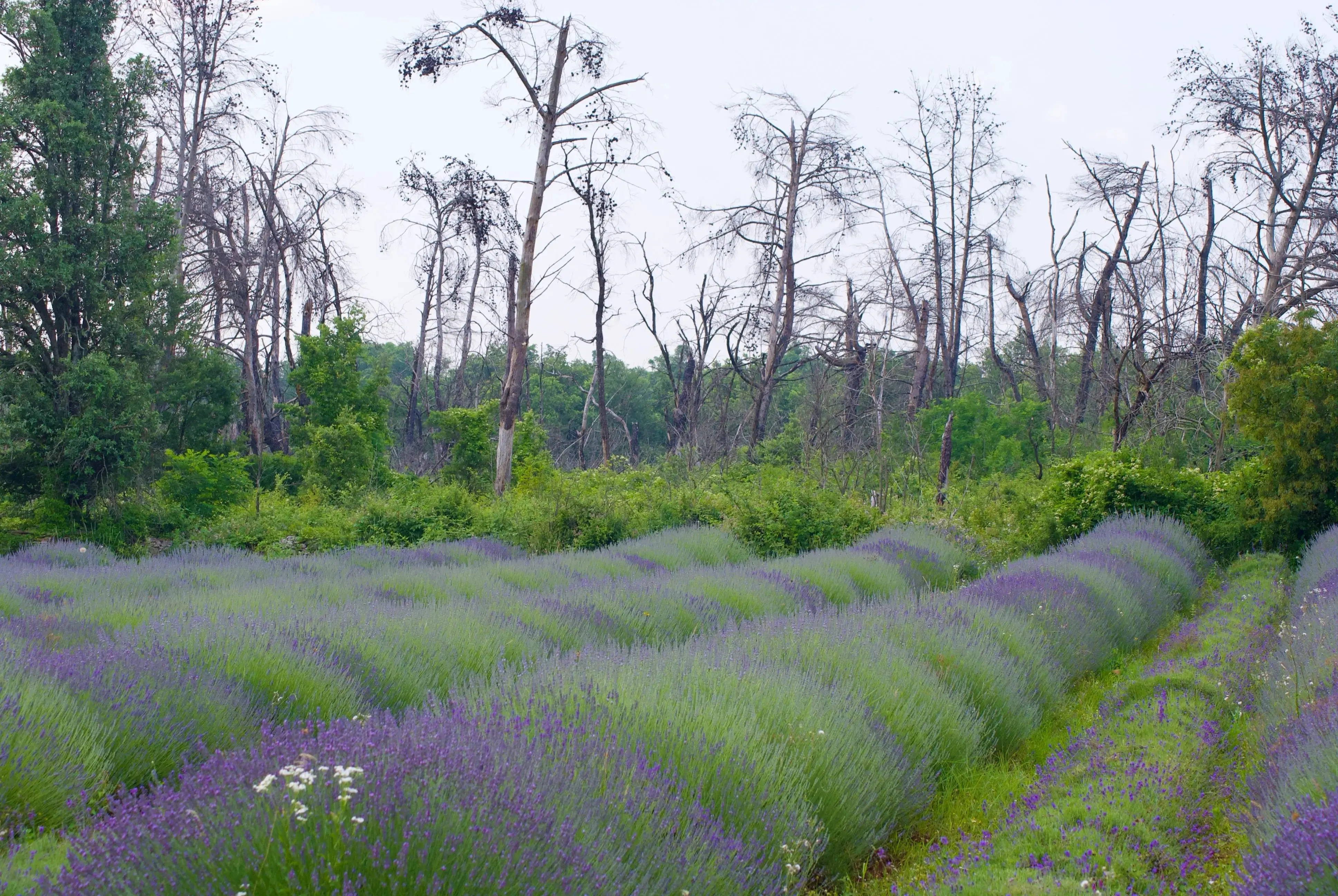 Zonsondergang boven de bergen