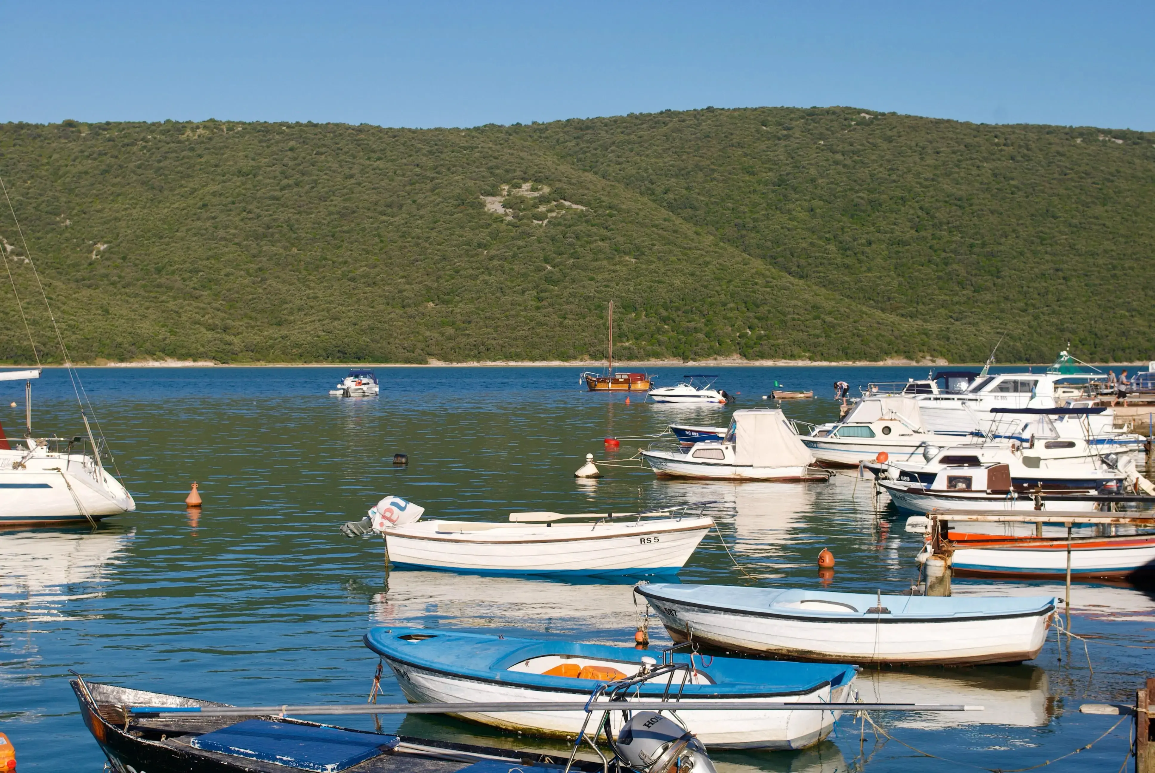 Groen Kroatisch landschap
