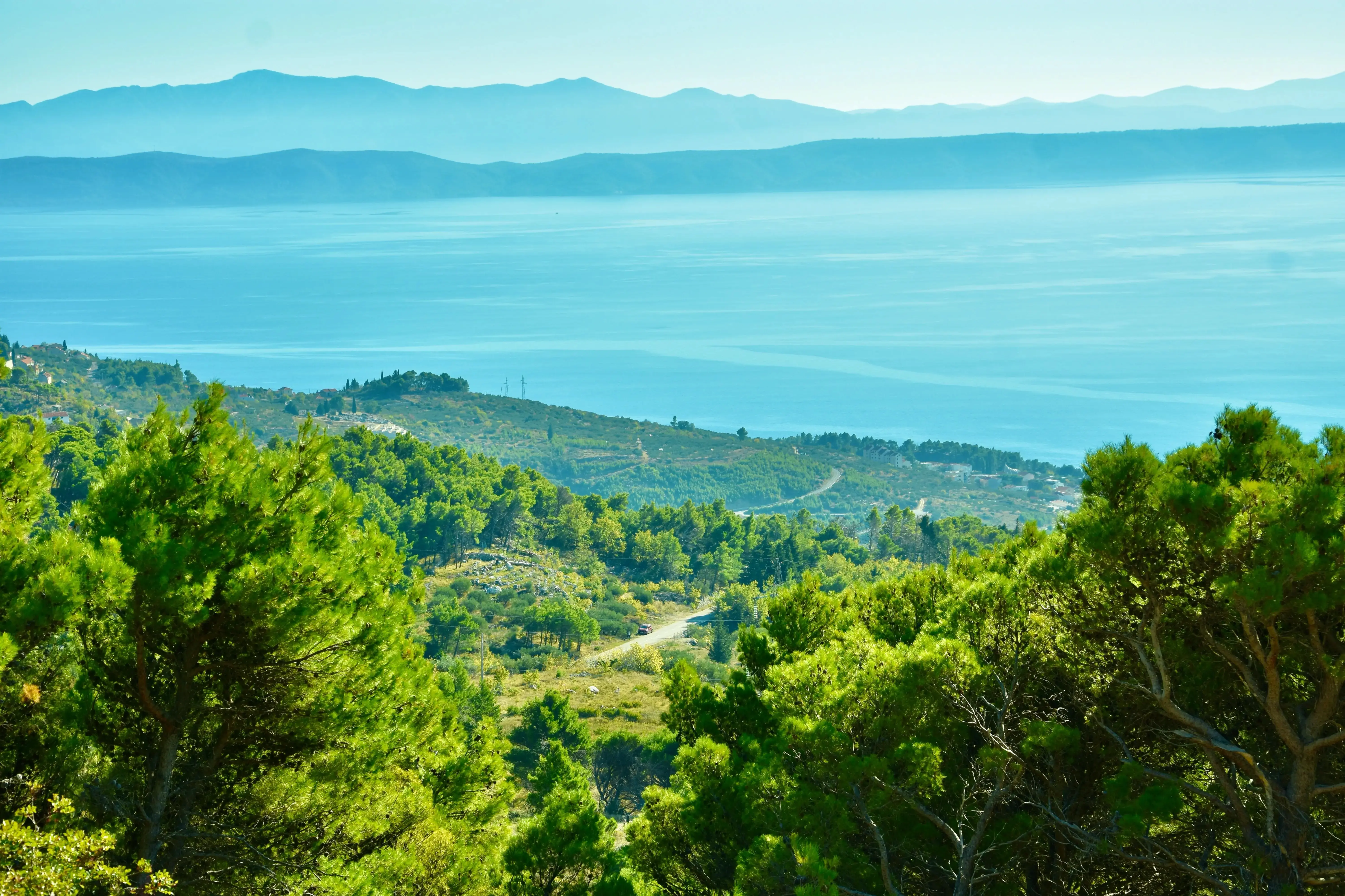 Olijfgaard en heuvels