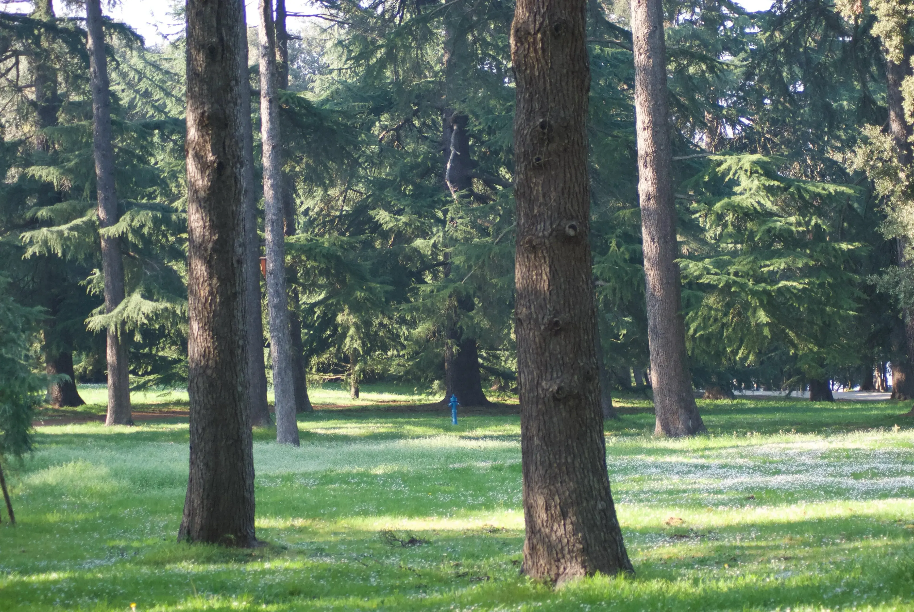 Uitzicht op een eiland
