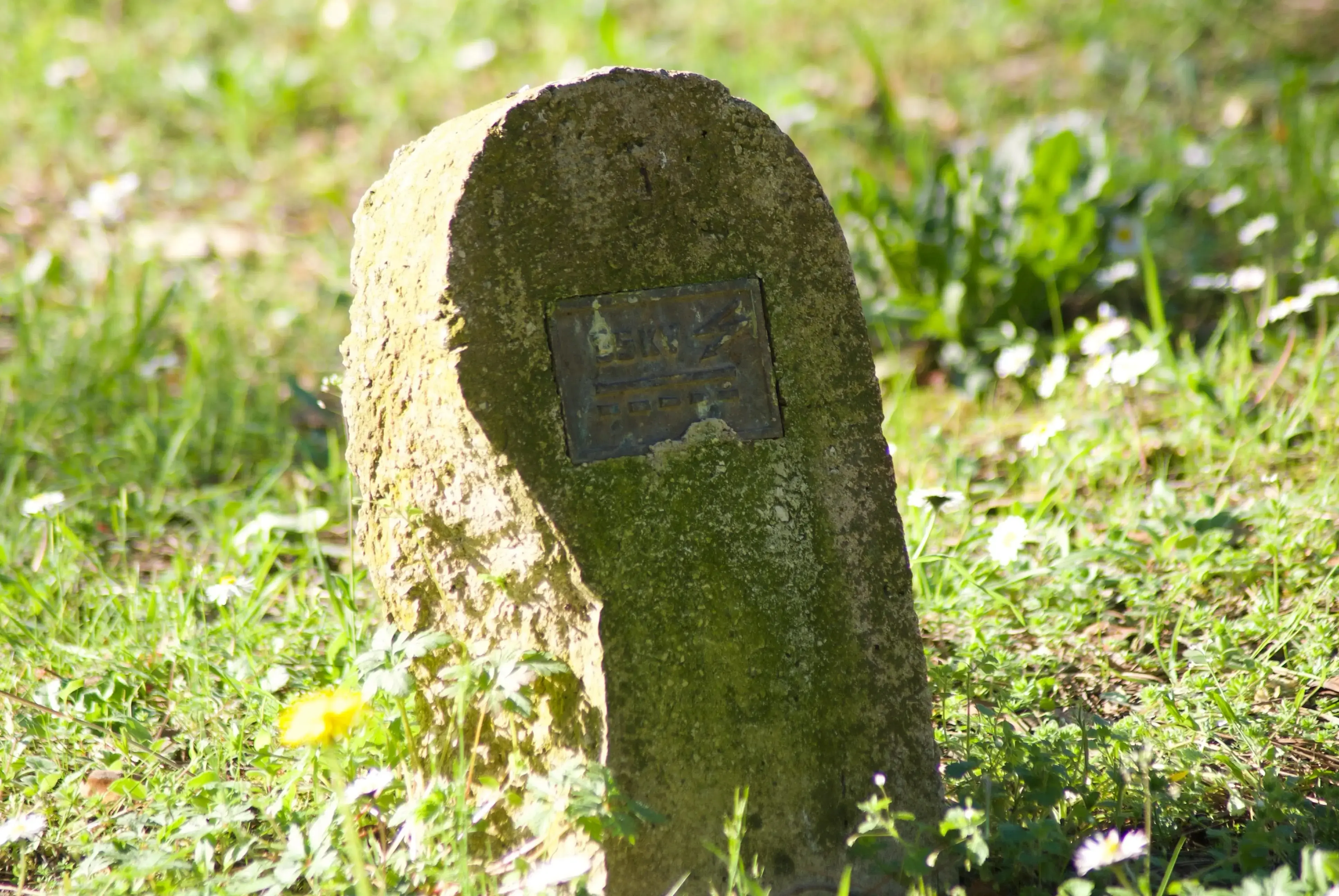 Panorama van de kust