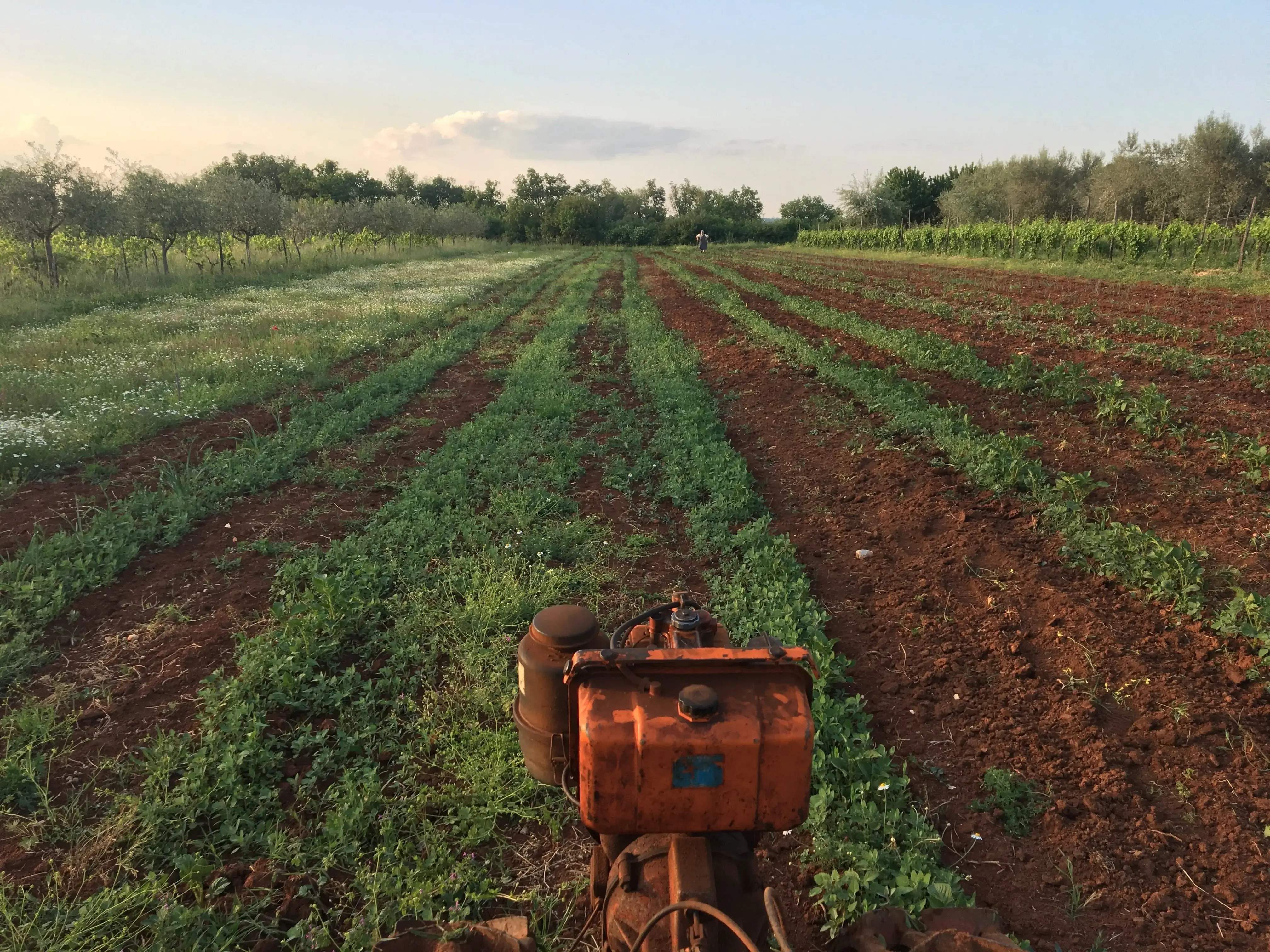 Lichte nevel over de zee