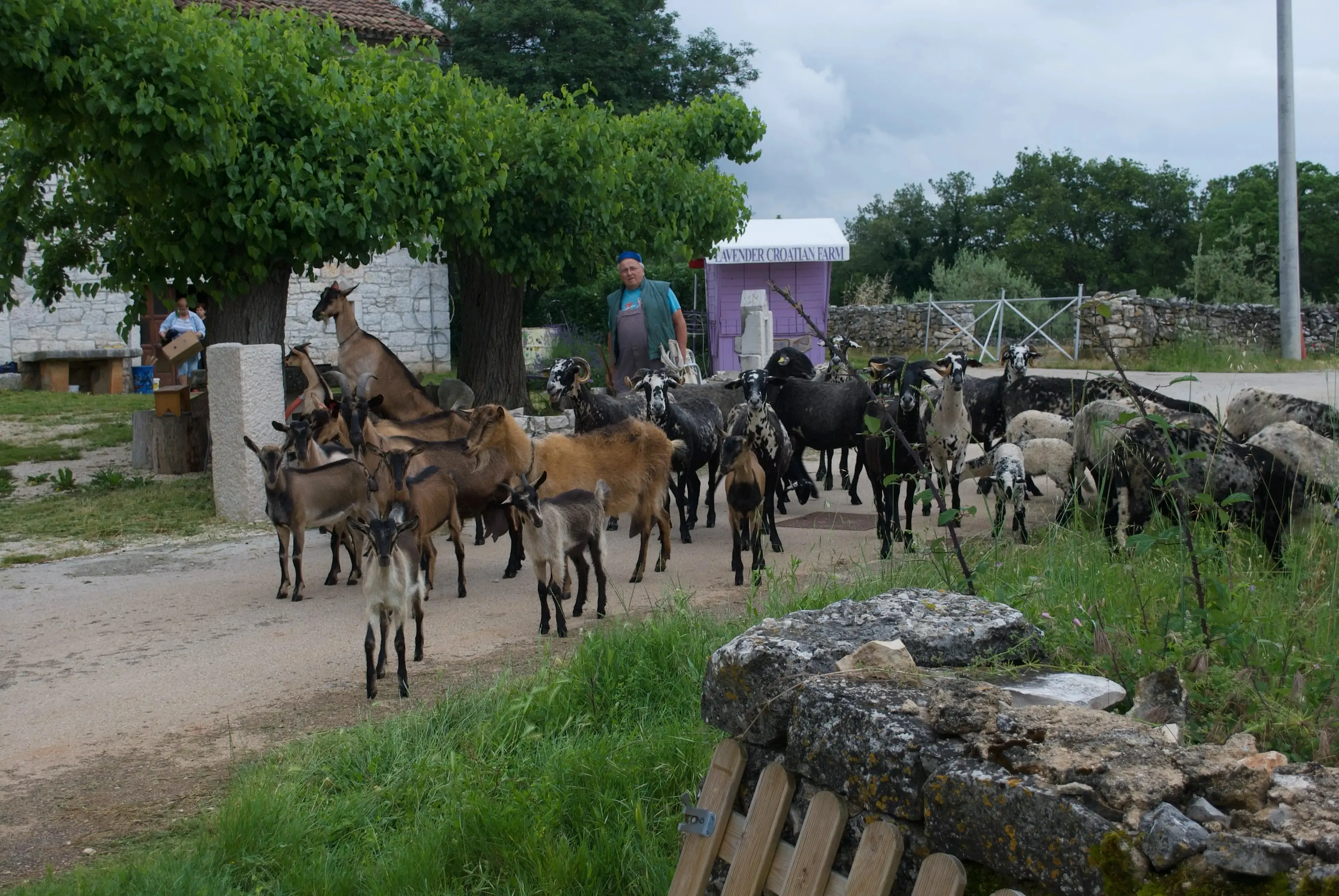 Image by Photographbyjohn.com Image by Photographbyjohn.com