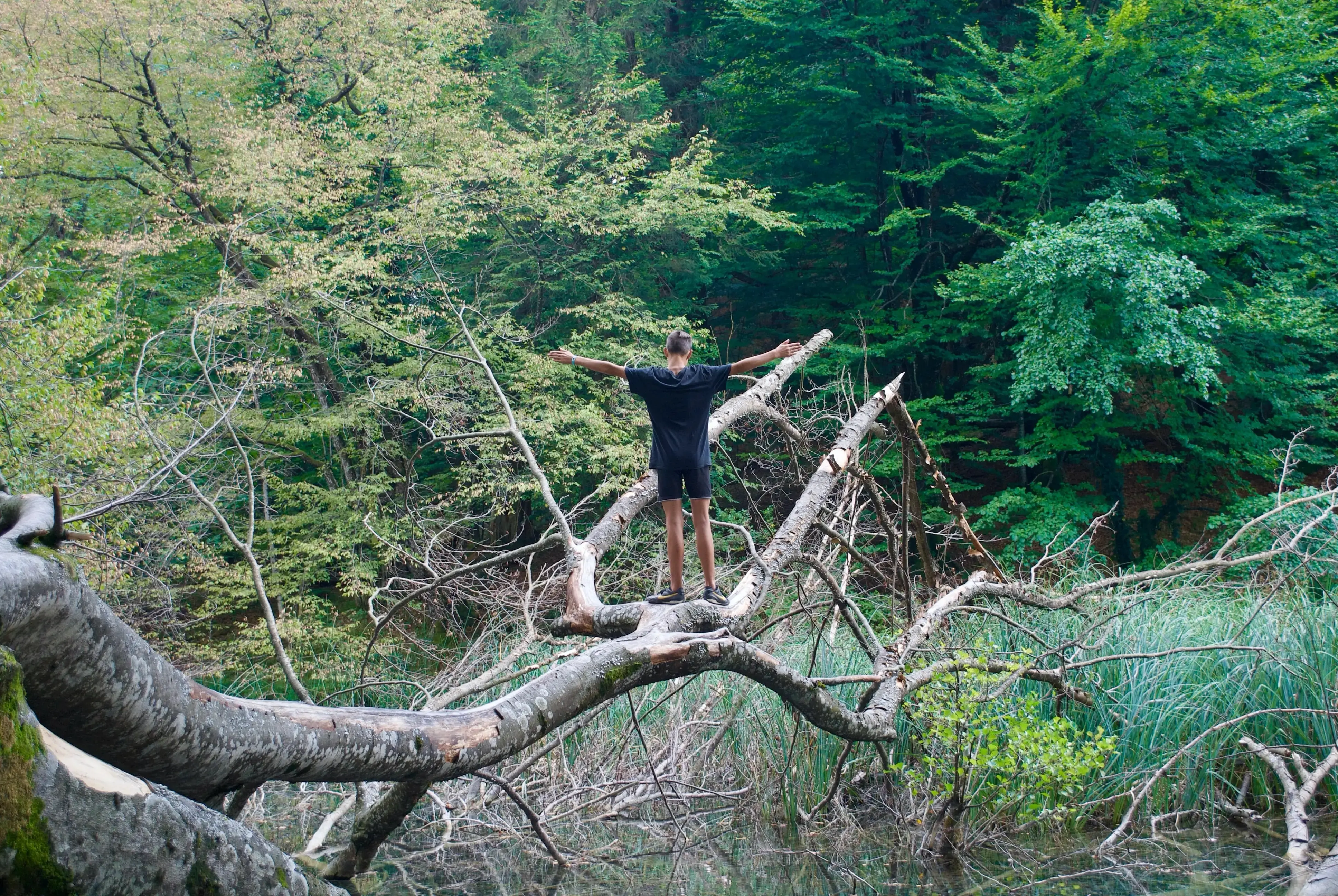 Image by Photographbyjohn.com Image by Photographbyjohn.com