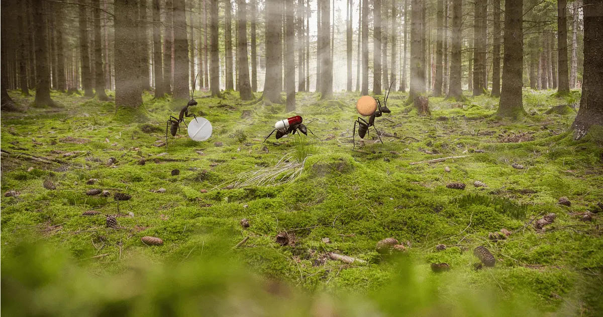 Emigration Emigration